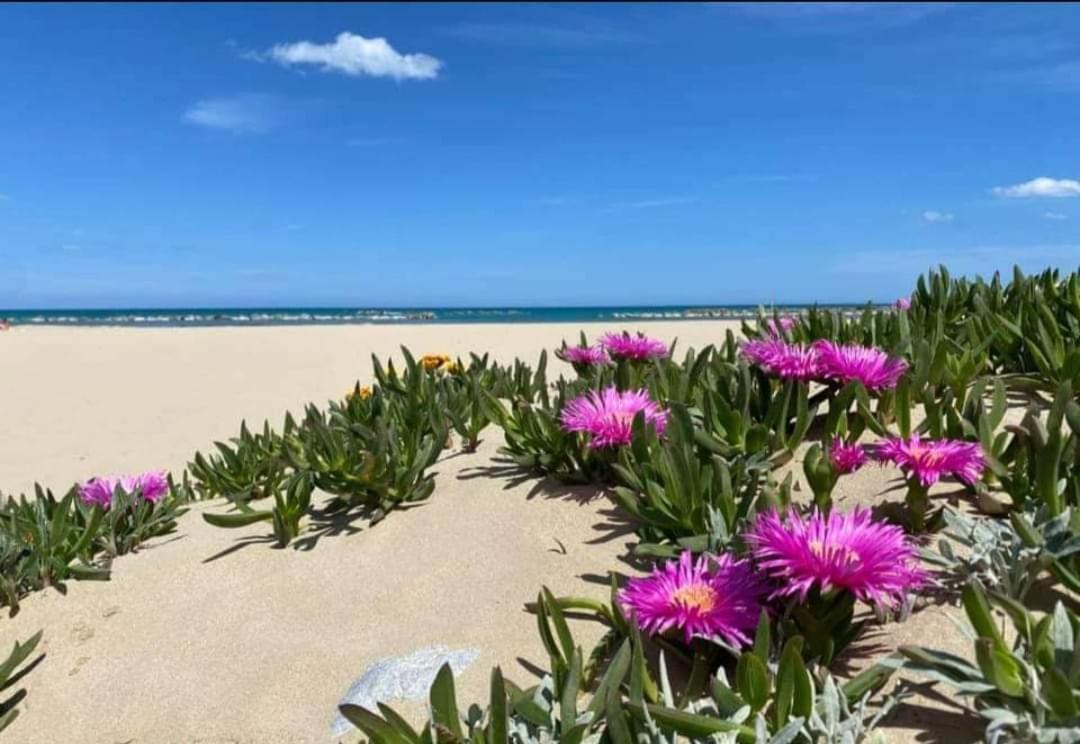 Marea Il Tuo Angolo Di Paradiso In Sicilia Ti Aspetta Prenota Ora E Vivi La Magia Del Mediterraneo Alcamo Marina Buitenkant foto